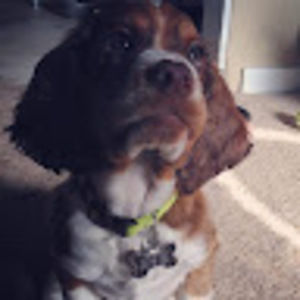 Meet your Posher, Melanie